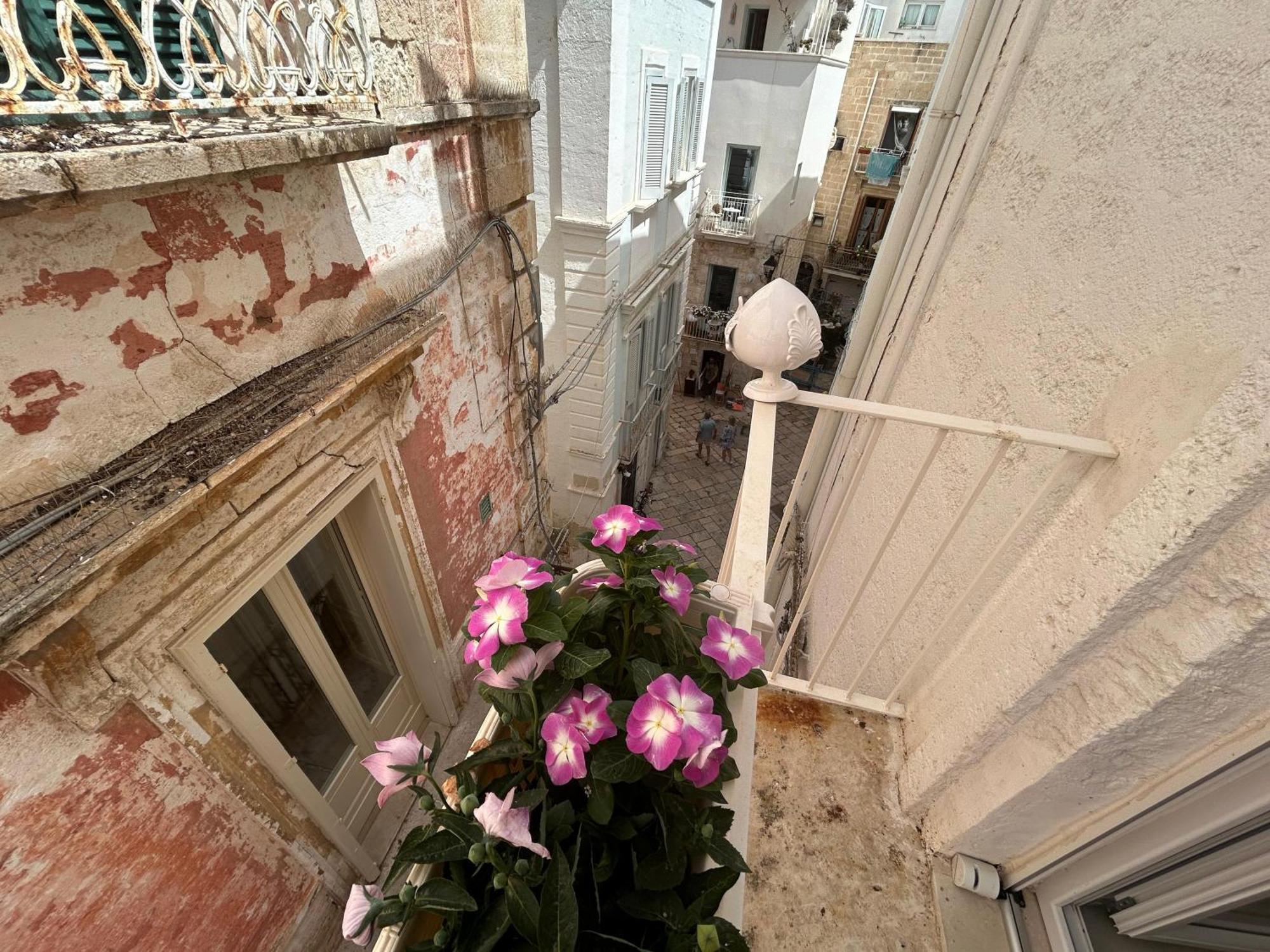 Trame - La Naca Sul Porto Bed & Breakfast Polignano a Mare Eksteriør bilde